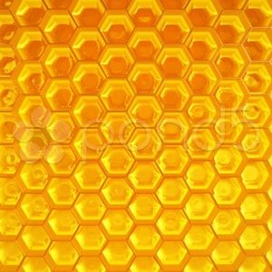 Meet your Posher, Sonia